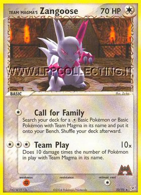 Team Magma