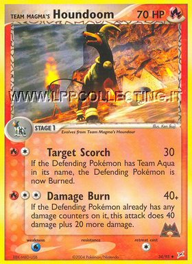 Team Magma
