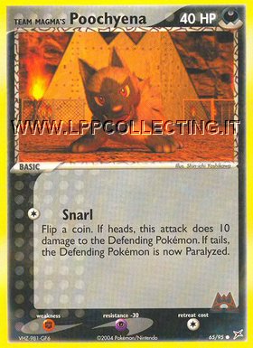 Team Magma