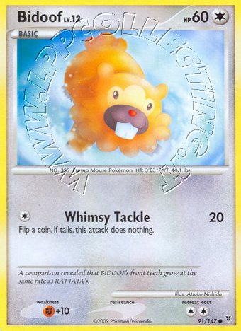 Bidoof Lv.12