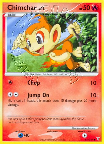 Chimchar Lv.11