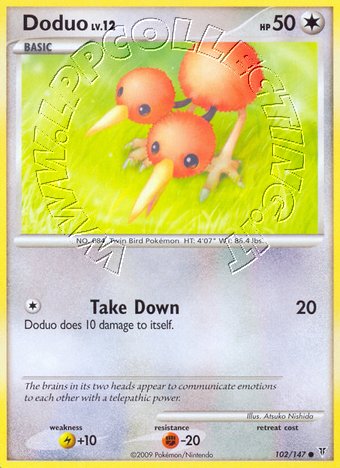 Doduo Lv.12