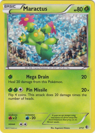 Maractus