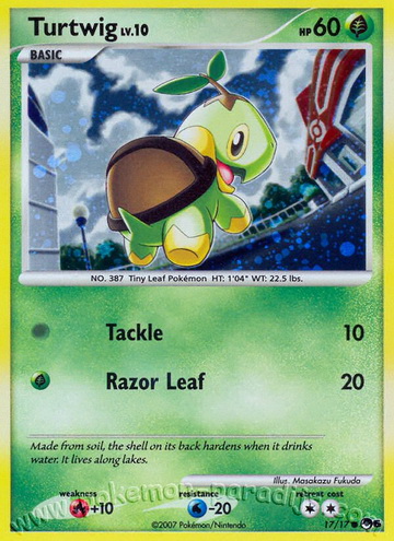 Turtwig Lv.10