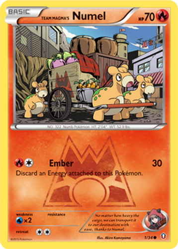 Team Magma