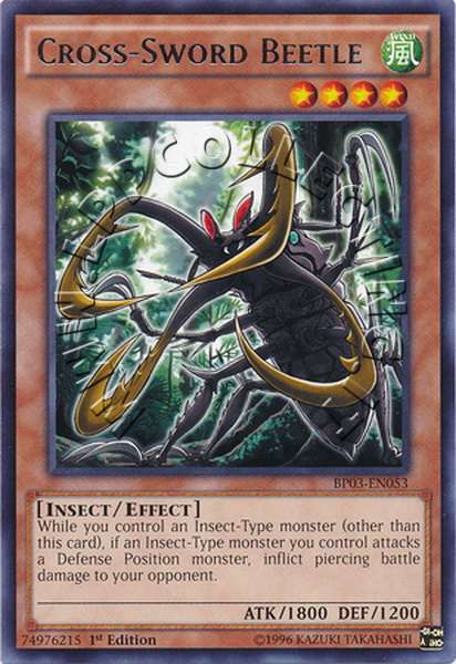 Cross-Sword Beetle