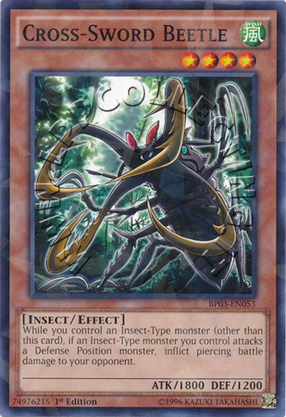 Cross-Sword Beetle