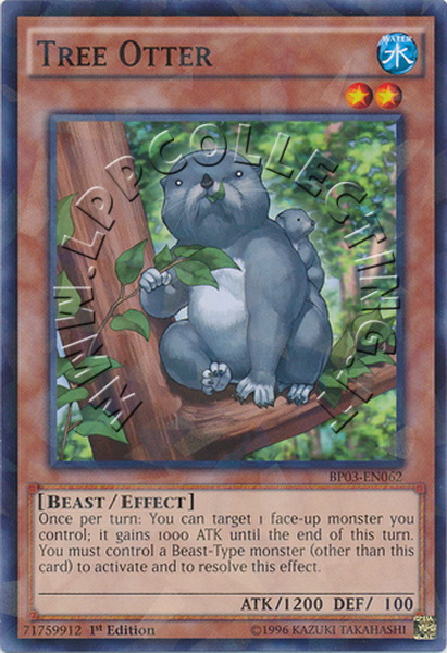 Tree Otter