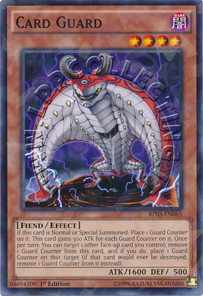 Card Guard