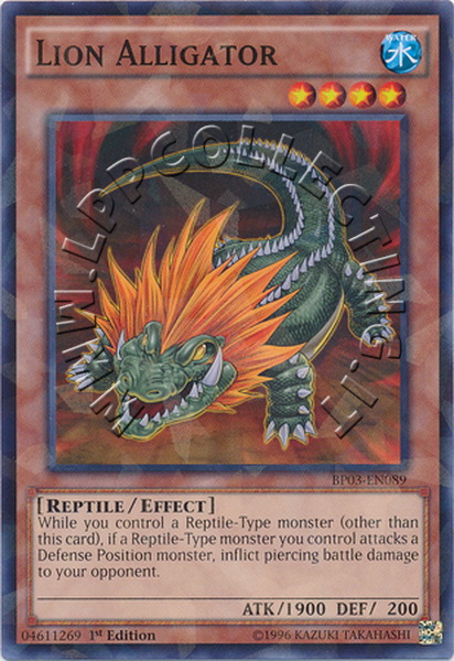 Lion Alligator