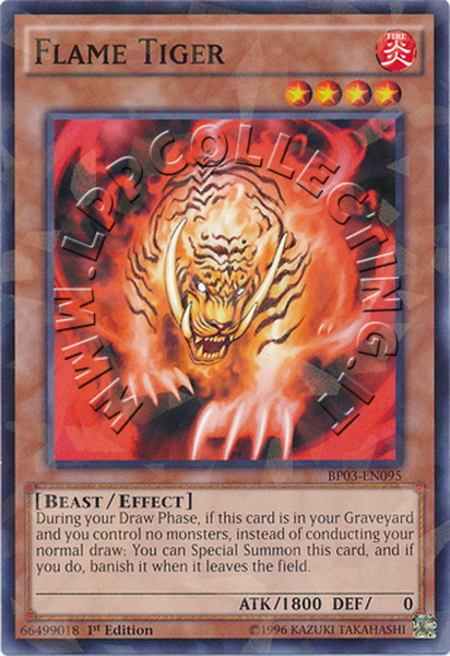 Flame Tiger