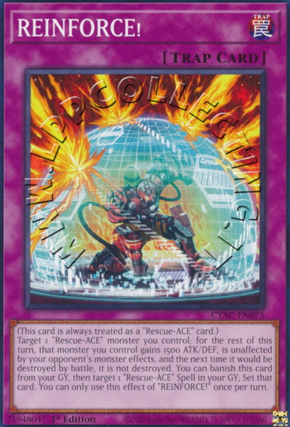 REINFORCE!