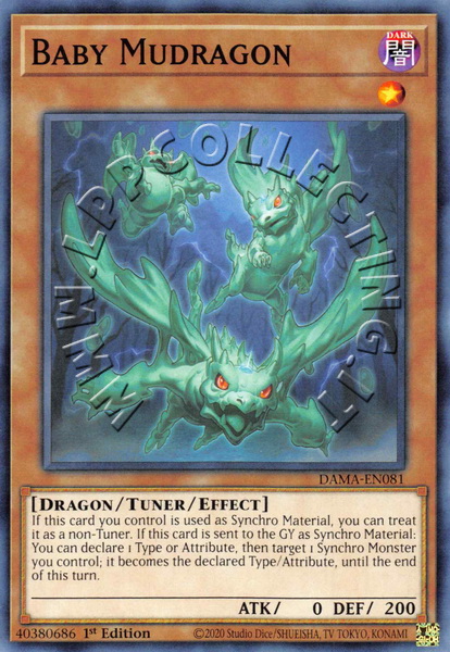 Baby Mudragon