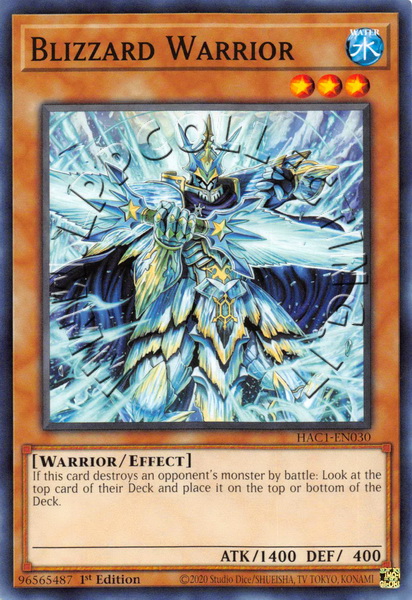 Blizzard Warrior
