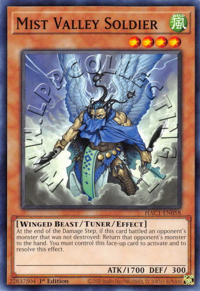 Mist Valley Soldier