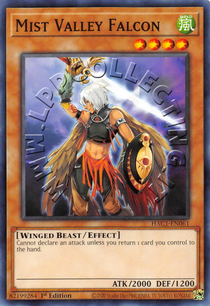 Mist Valley Falcon