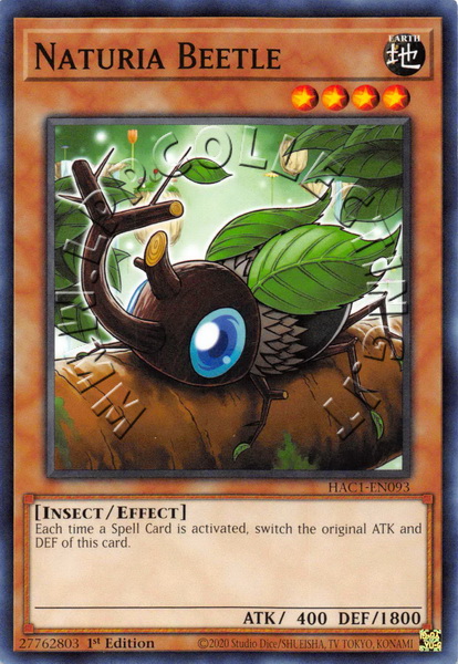 Naturia Beetle