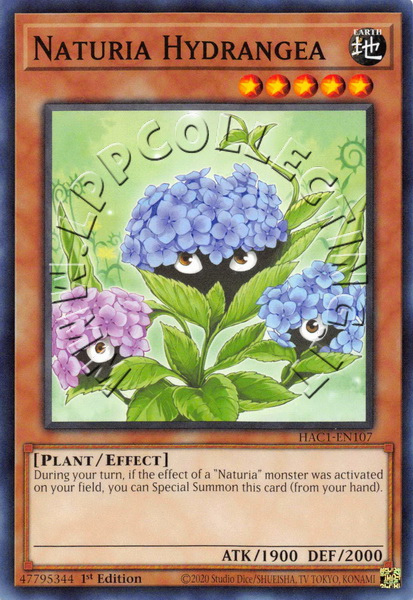 Naturia Hydrangea