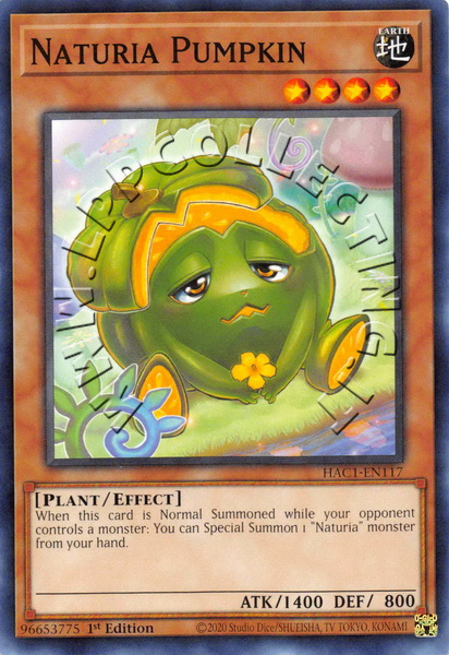 Naturia Pumpkin