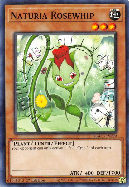 Naturia Rosewhip