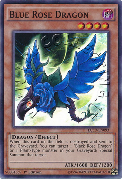 Blue Rose Dragon