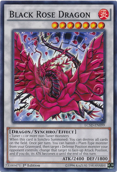 Black Rose Dragon 