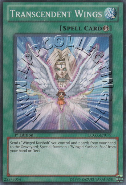Transcendent Wings