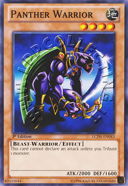 Panther Warrior