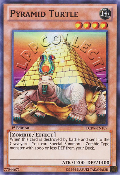 Pyramid Turtle