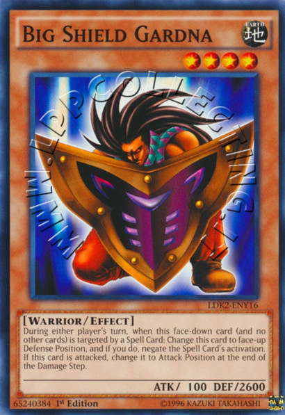 Big Shield Gardna