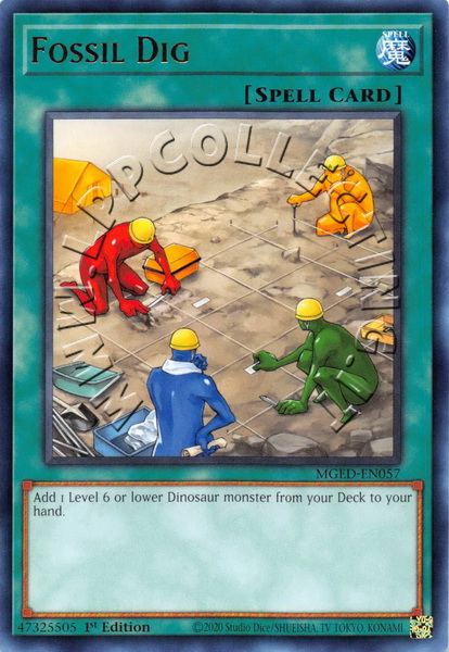 Fossil Dig 