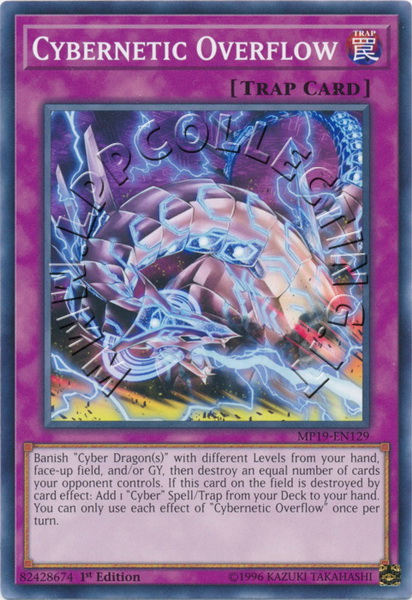 Cybernetic Overflow