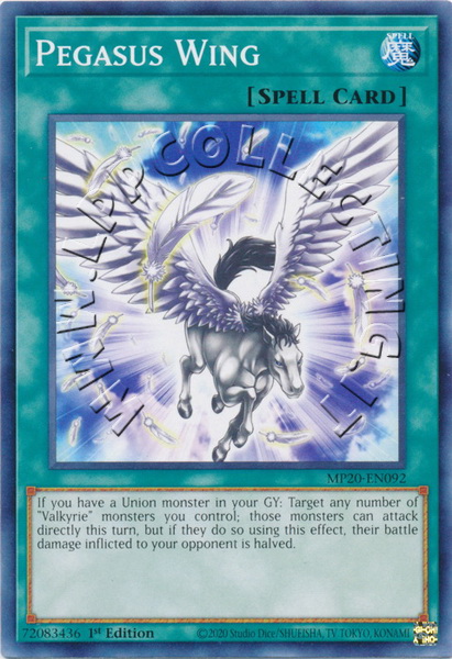 Pegasus Wing