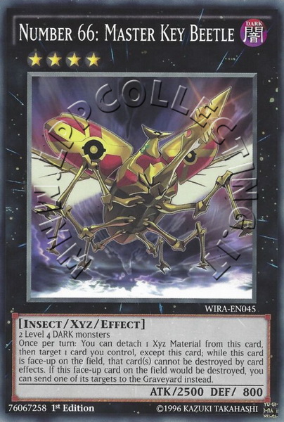 Number 66: Master Key Beetle