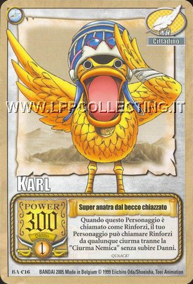 Karl - Super anatra dal becco chiazzato