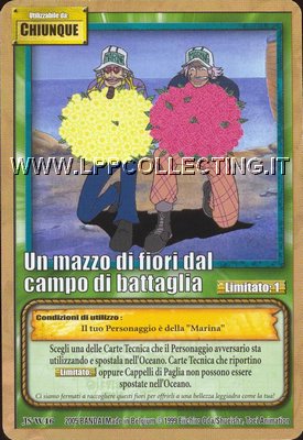 Un mazzo di fiori dal campo di battaglia
