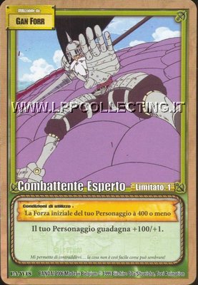 Combattente Esperto