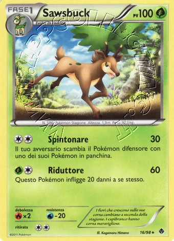 Sawsbuck