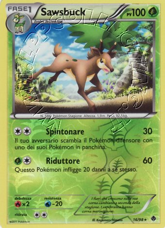Sawsbuck
