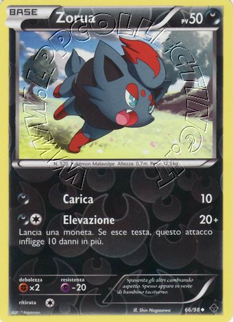 Zorua