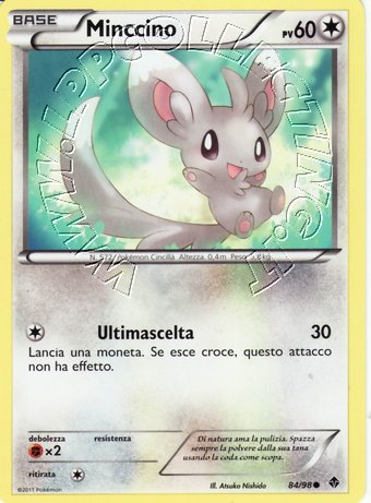 Minccino