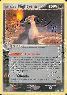 Team Magma