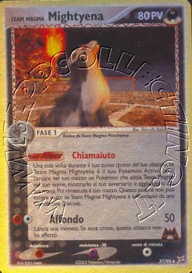 Team Magma