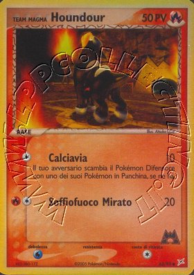 Team Magma