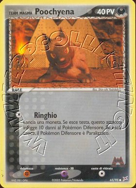 Team Magma