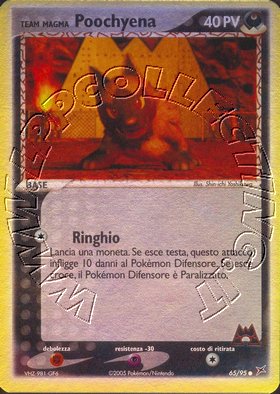 Team Magma
