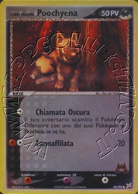 Team Magma