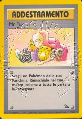 Mr. Fuji