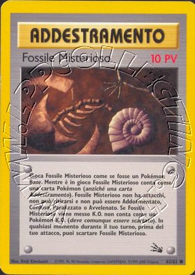 Mysterious Fossil