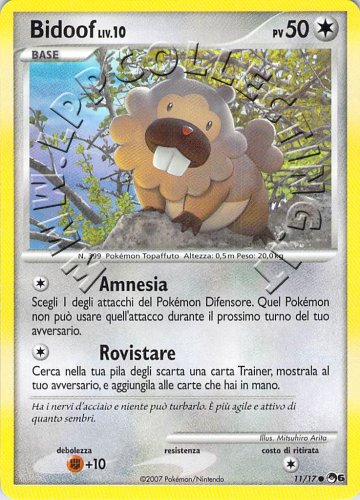 Bidoof Lv.10